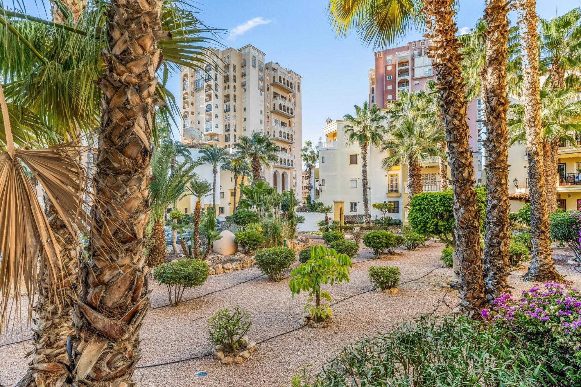 Casa Jina Lejlighed Torrevieja Eksteriør billede
